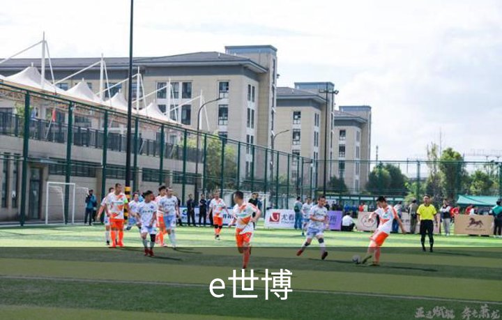 e世博介绍